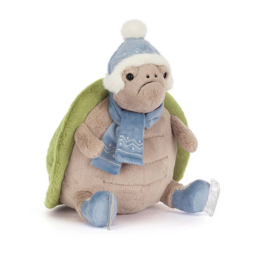 Mr. Timmy Turtle