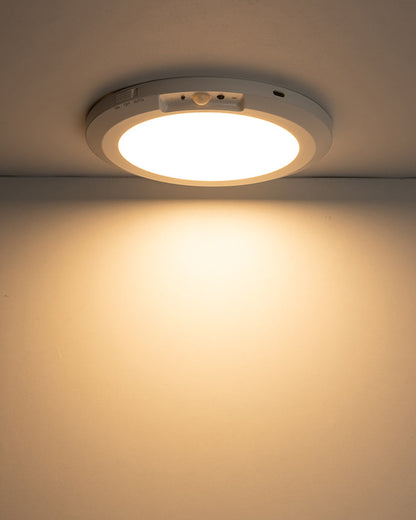 HandsOff Ceiling Light