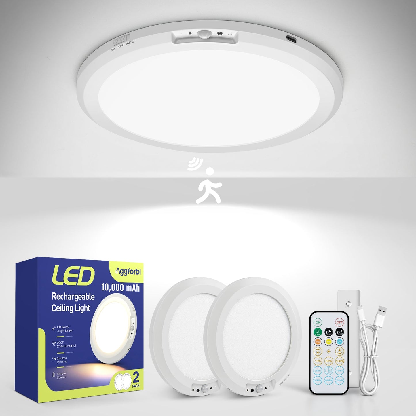 HandsOff Ceiling Light