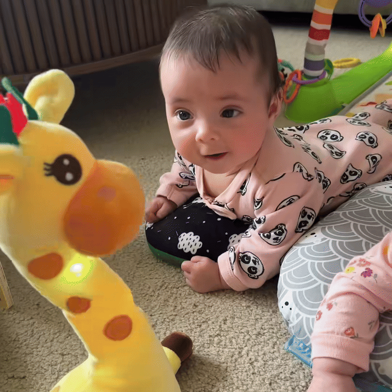 Buddy The Dancing Giraffe